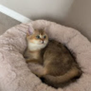 Meet your Posher, Delia